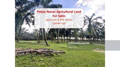 Agricultural Land Jalan Sawah Pekan Nanas Corner Lot With 4.475 Acres