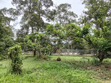 Tanah Dusun  Durian, 1 ekar, Lenggeng