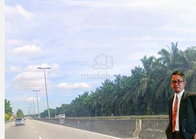 For Sale Tanah Pertanian Kelapa Sawit Tanjong 12, K.Langat.Selangor