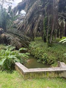 7.5 Acre Kulai johor agriculture land For Sales