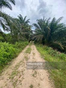 Kluang, Agricultural Land, Land 5 Acres, Freehold & Non-Bumi