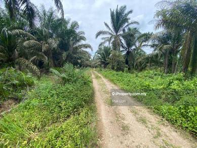 Kluang, Agricultural Land, Land 5 Acres, Freehold & Non-Bumi