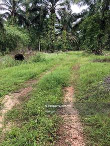 Senai Airport, Agricultural Land, Land 9.8 Acres, Freehold @ Senai