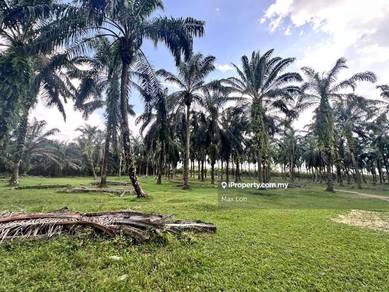 Pekan Nanas, Agricutural Land, Land 4.475 Acres @ Pekan Nanas