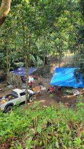Tanah Kebun/Ladang untuk di jual di Kuala Krai 29 ekar