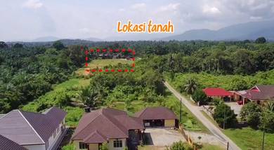 TaNAH LOT BANGUNAN  DAN STRATEGIK DI KG PAUH KUALA BERANG UNTUK DIJUAL