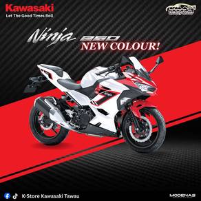 Striking new shade ❤️ Kawasaki » Ninja 250