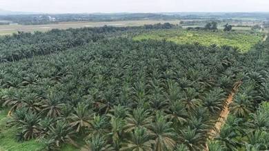 7acre Senai @ Kulai Agriculture Land @ Industrial zone 🔥For