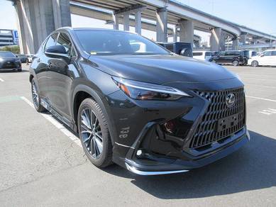 [Must Click] LEXUS NX 250 NX250 VERSION L
