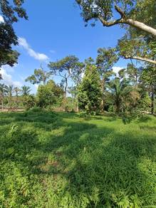 TANAH SEBELAH LEBUHRAYA PTP untuk DIJUAL