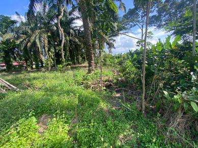 Pontian 2 Acre Freehold Agriculture Land
