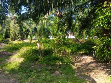Jeram Batu 20 near Zoning