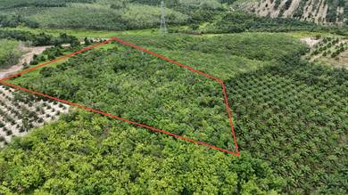 FREEHOLD Land – 9.15 acres Agriculture at Tungku Tiga, Segamat