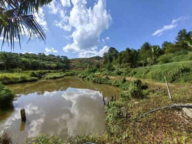6 Acres Freehold Durian Farm Next To River Kechau Kuala Lipis