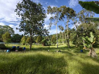 2 Acres Freehold Durian Farm Next To River Padang Tengku Kuala Lipis