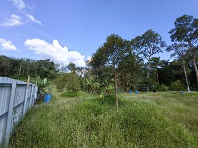 2 Acres Freehold Durian Farm Next To River Padang Tengku Kuala Lipis