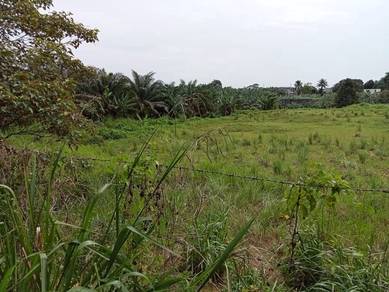 For Sale @ Kulai Batu26 Kelapa Sawit @ 3.73acre agriculture land