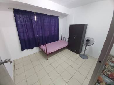 Anggerik Kajang LELAKI
