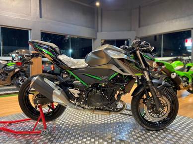 Kawasaki Z250 Naked Bike