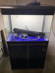 aquarium cabinet curve 2.5 ft Ada calar