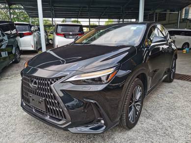 Lexus NX 250 2.5 LUXURY (A) GRADE 5A - 7Y WRN