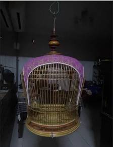 sangkar burung merbok siam