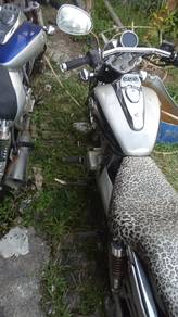 motor jaguh 