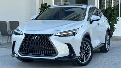 Unregister 2023 Lexus NX250 Version L Japan Spec