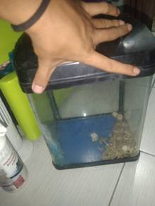 aquarium terpakai