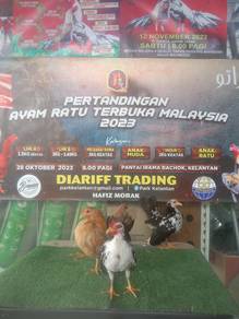 Ayam serama