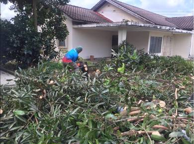 Khidmat Tebang Pokok Tanam Dan Potong Rumput
