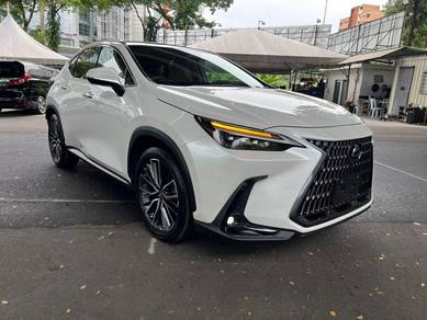 Lexus NX 250 2.5 LUXURY (A)