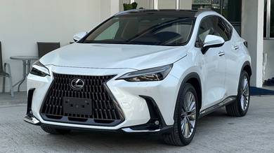 Unreg 2022 Lexus NX 250 2.5 Version L AWD