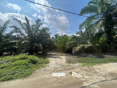 Value Buy Sri Cheeding Jenjarom residential zoning land freehold