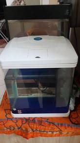 Litre aquarium with fish