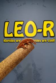 Crested Gecko