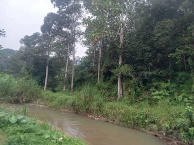 Tanah luas dan murah ada durian dan sungai di Hulu Langat utk dijual‼️
