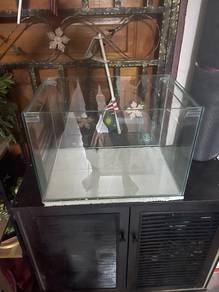 Custom Aquarium