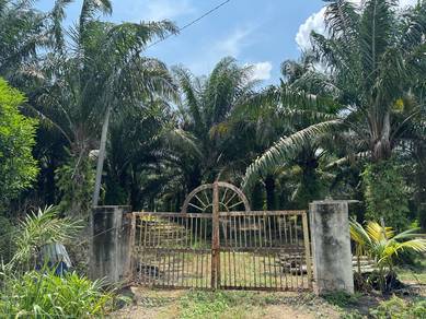 Tanah Pertanian 🌴 seluas 8.35 Ekar di Kg Pandan,Kuantan Untuk dijual