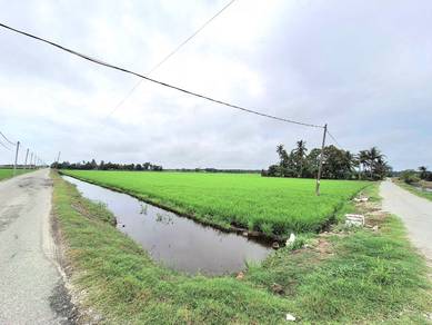 For Sale, Tanah Sawah, Parit 10, Pasir Panjang, Sabak Bernam