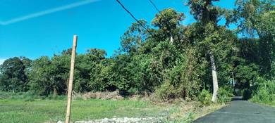 lot kebun first grade di balik pulau