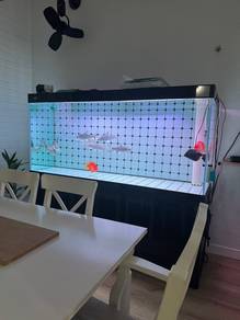 Aquarium fish tank Premium quality YEE full set