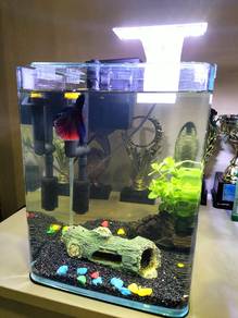 Jual Aquarium 