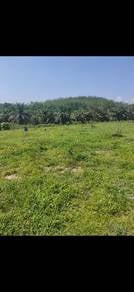 Kulim /Tanah Jual murah ! !!