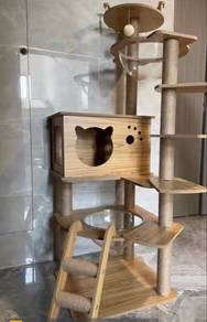 tempat main kucing
