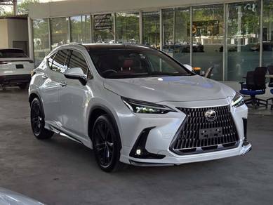 Lexus NX 250 2.5 LUXURY (A)