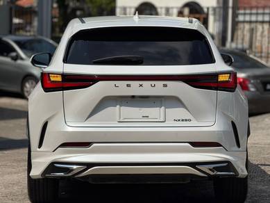 Lexus NX 250 2.5 LUXURY (A)