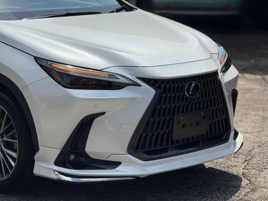 Lexus NX 250 2.5 LUXURY (A)