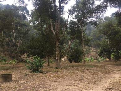 1st Grade 𝟕.𝟓 Acres Land with Durian Farm @ Balik Pulau Sale 6 Mil