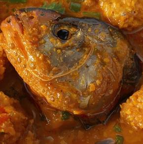 Kepala Ikan Salmon / Salmon Head (Frozen)